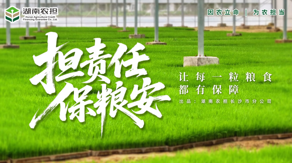 担责任 保粮安——让每一粒粮食都有保障