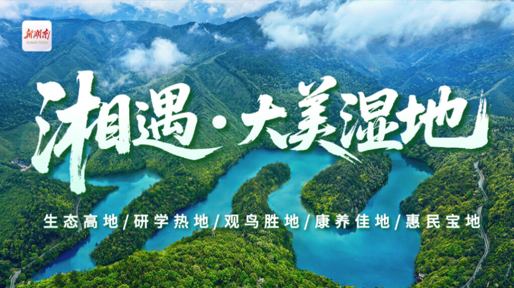 专题|湘遇·大美湿地