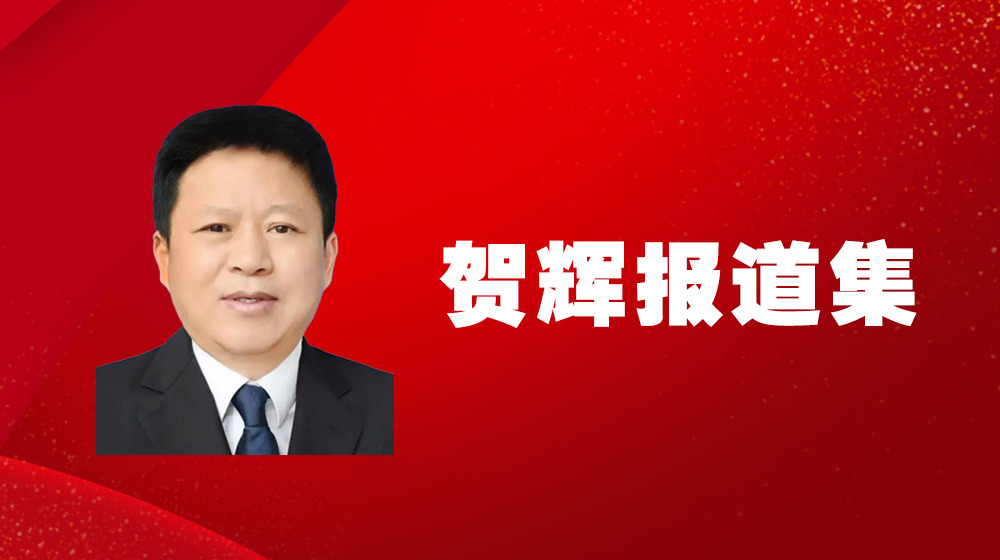 贺辉报道集