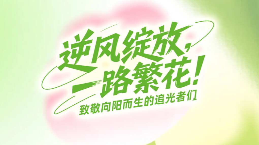 逆风绽放，一路繁花
