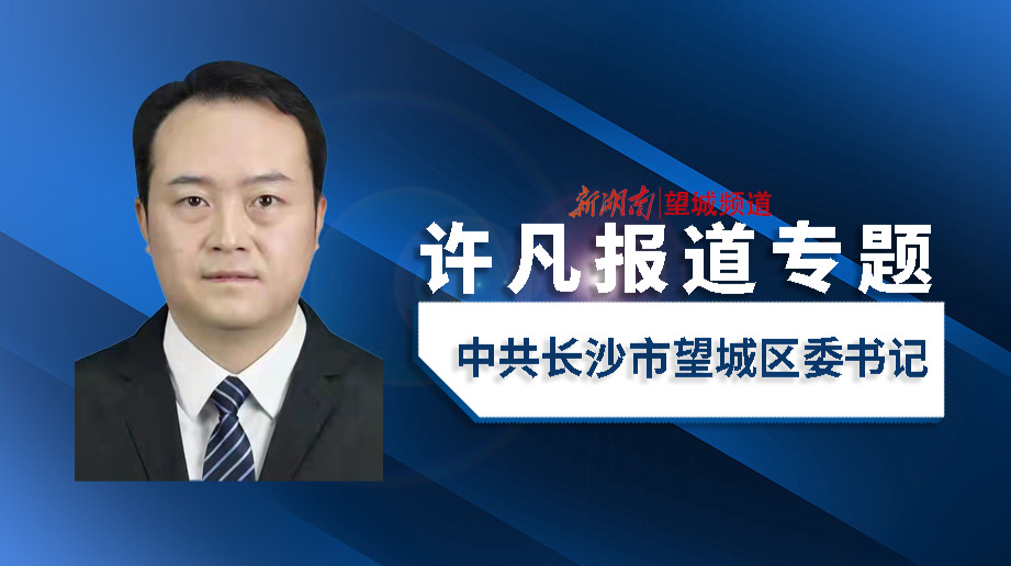 许凡报道专题