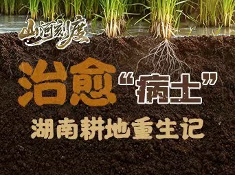 山河刻度丨治愈“病土”：湖南耕地重生记