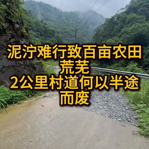 记者行动|泥泞难行致百亩农田荒芜，2公里村道何以半途而废