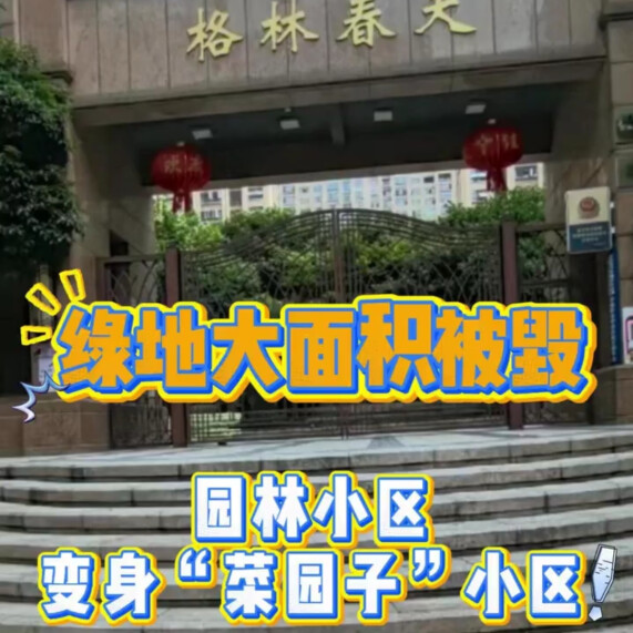记者行动|绿地大面积被毁 园林小区变身“菜园子”小区