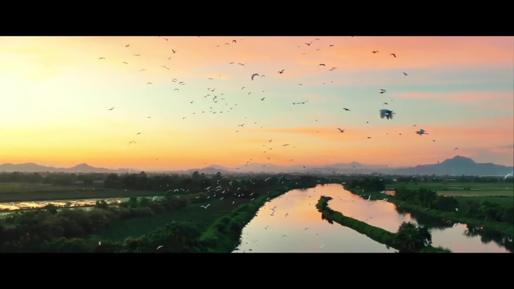 记得回家看看 我在岳阳等你 