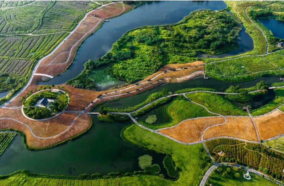 来洋湖湿地公园吧，开启一场生态与艺术交织的夏日奇遇