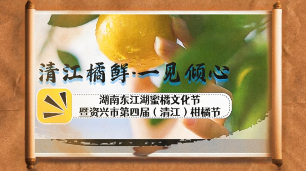 清江橘鲜  一见倾心