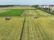 【在习近平新时代中国特色社会主义思想指引下】田园如画地生金