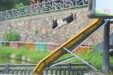 【湖湘有种】豕尊出湘中 名猪香千年