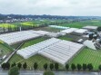 【湖湘有种】一辣知湘味 万籽蕴匠心
