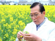 【湖湘有种】菜籽出湖湘 油香溢九州