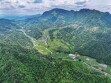 【寻茶记】青藤凝霜韵 甘露润山乡&mdash;&mdash;张家界莓茶的民俗传奇与富民之路
