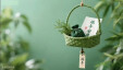 【视频】一部诗词，半卷端阳