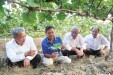 【让人民满意】心系田土事 情暖百姓心&mdash;&mdash;记第八届湖南省&ldquo;人民满意的公务员集体&rdquo;宁远县农村经营服务站