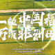 一粒中国稻，万顷非洲田