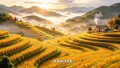 【AI视频】这是不是你以为的湖南秋收?