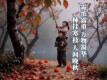 霜降·柿染寒枝