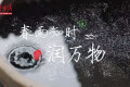 春雨知时润万物，一起品味古诗词里的春日生机