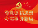 学党史 悟思想 办实事 开新局