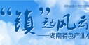 &ldquo;镇&rdquo;起风云&mdash;&mdash;湖南特色产业小镇巡礼