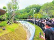 端午假期，岳阳迎客180.22万人次