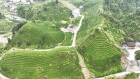 `șQ^P