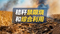 【专题】秸秆禁限烧和综合利用