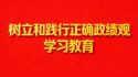 【专题】树立和践行正确政绩观学习教育