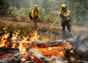 山火“橡树”持续 数千居民被迫疏散