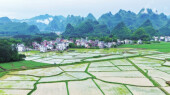 “旅游+产业”，乡村画卷美