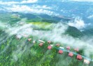 茶旅融合 生态赋能