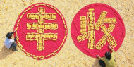 丰收景象