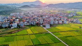 秋日乡村“丰”景美