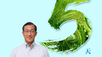 海报｜距2026“紫鹊界梯田对话世界”还有5天！