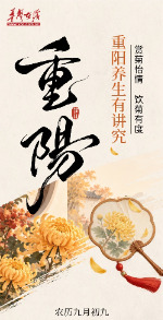 图解丨赏菊怡情，饮菊有度，重阳养生有讲究