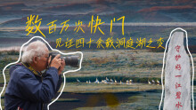數百萬次快門，見證四十余載洞庭湖之變