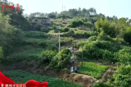 青山埋忠骨！茶园村民九十余年守护无名红军墓