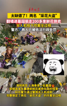 2人翻墙进墓园偷走200多束鲜花倒卖 无人机拍下作案全过程