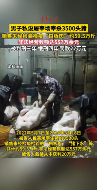 男子私设屠宰场宰杀3500头猪获刑