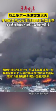 厄瓜多尔港口火灾数十艘船被烧