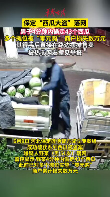 被热心网友撞见举报 保定西瓜大盗落网