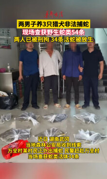 两男子养3只“寻蛇猎犬” 围捕54条蛇被森警查获 两人被刑拘