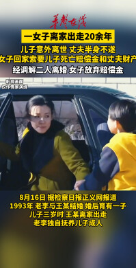 儿子离世离家20年母亲现身分赔偿