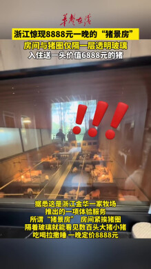 浙江惊现8888元一晚的猪景房