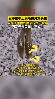女子家中上厕所撞见双头蛇