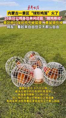 内蒙古一景区球形鸡笼火了
