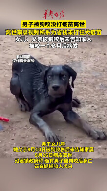 男子被狗咬没打疫苗离世 离世前录视频称系为省钱未打狂犬疫苗