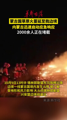 蒙古国草原火蔓延至我边境 2000余人正在堵截