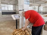 数智赋能 邵阳烟草交出智慧惠农新答卷