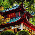 提质焕新 爱晚亭三大池塘进行修复改造